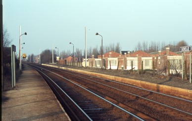 Schelle - TH 80-216 (2).jpg